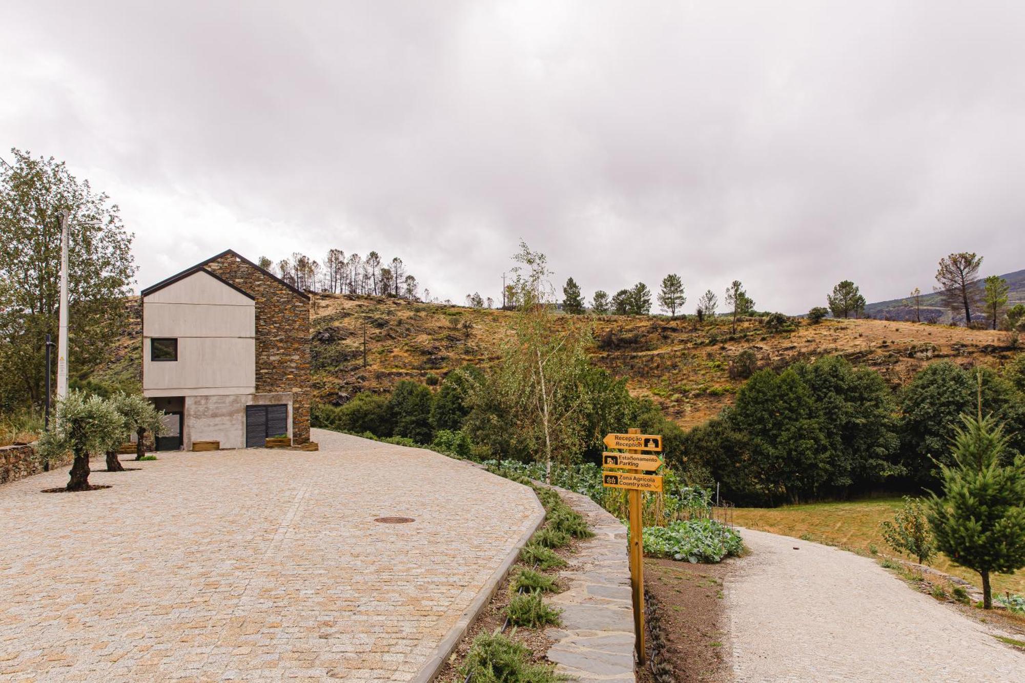 Terrasense Mountain Charm Retreat & Farm Appartement Videmonte Buitenkant foto