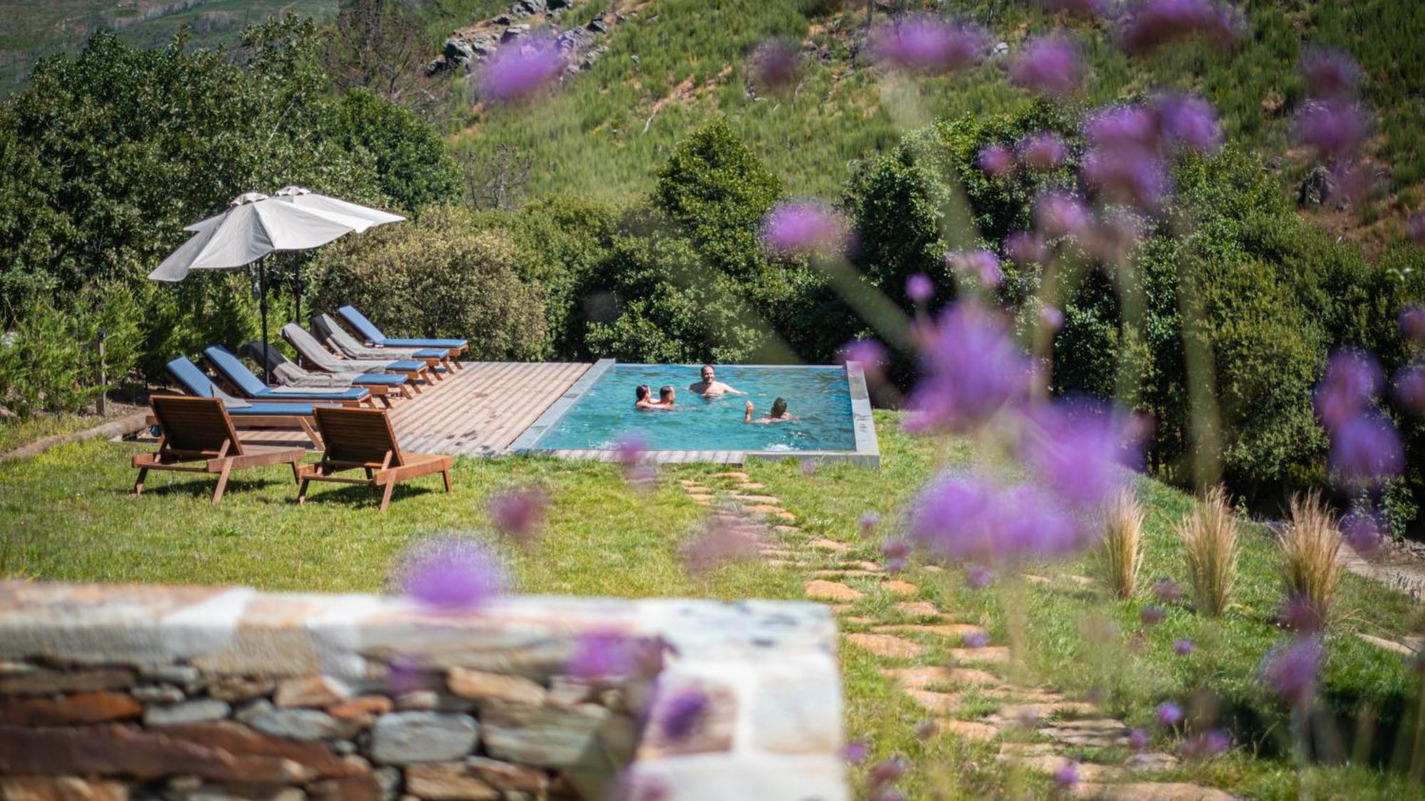Terrasense Mountain Charm Retreat & Farm Appartement Videmonte Buitenkant foto